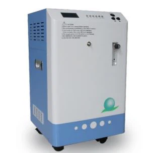Ozon generator 8/18/28g/l innebygd oksygenkonsentrator