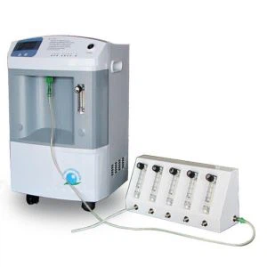 Neonatal oksygen konsentrator (JAY-10)