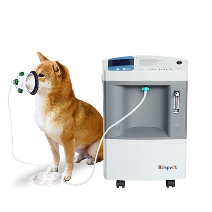 Longfian Series Vet Oksygen Konsentrator For Veterinær